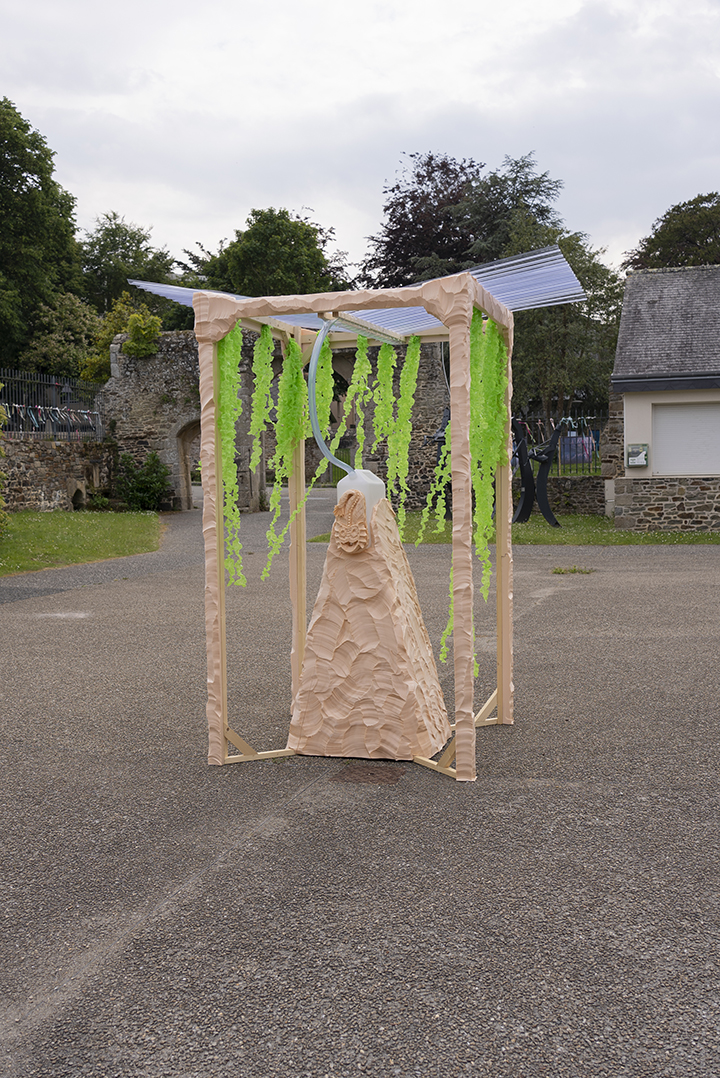 Le labyrinthe du betta ©Manon Riet Thomas Portier