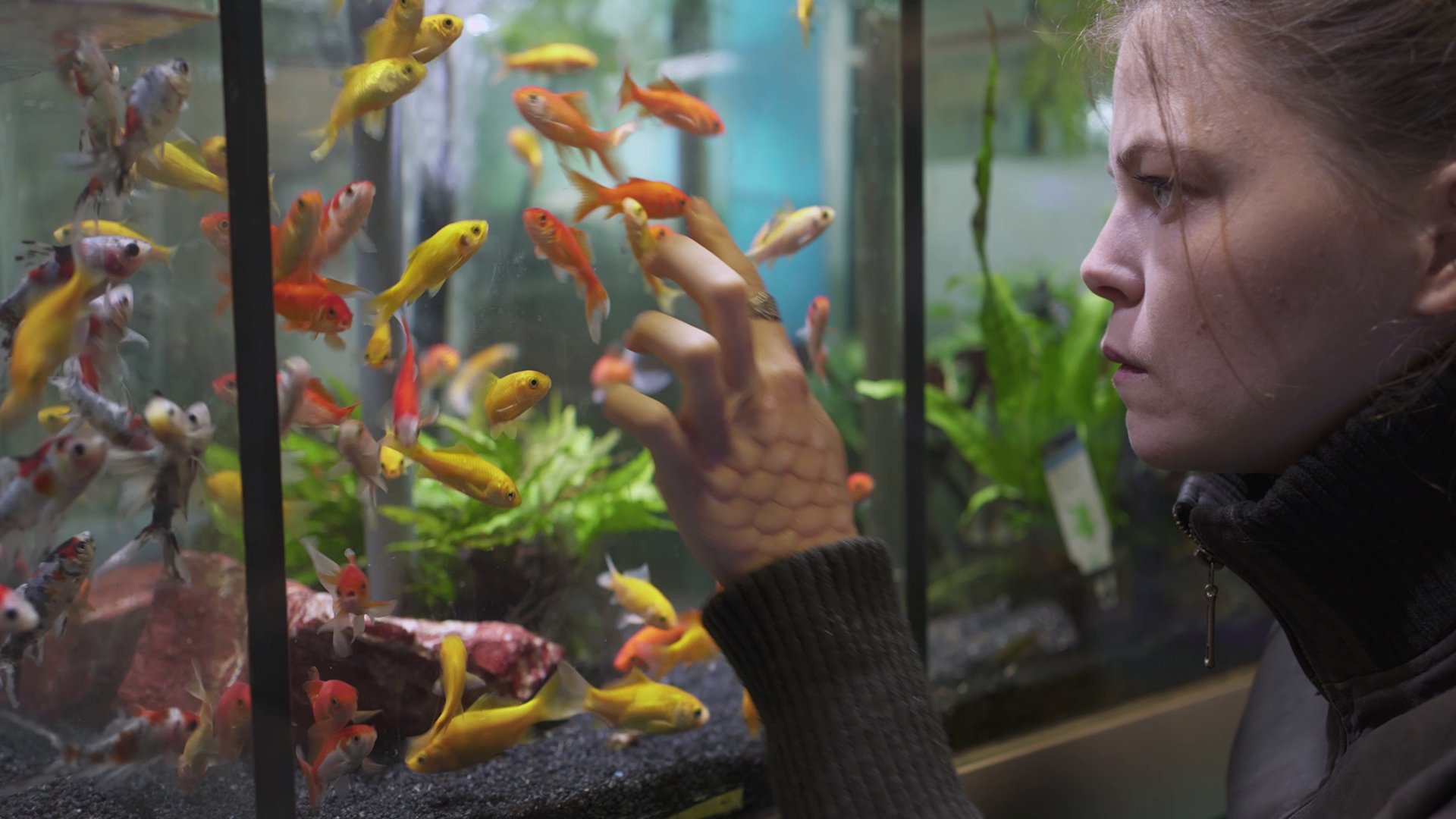 Le labyrinthe du betta ©Manon Riet Thomas Portier